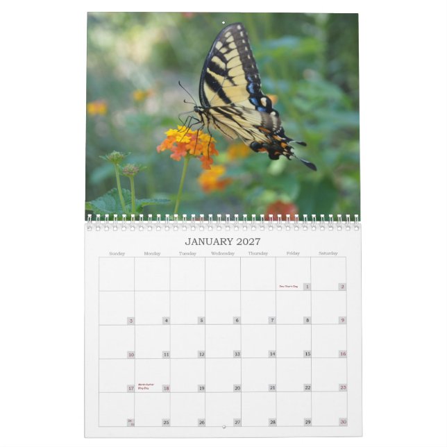 Calendário Um toque da borboleta de Sun (Jan 2027)
