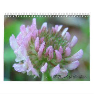 Calendário Um toque da natureza