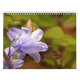 Calendário Um toque das Carolinas