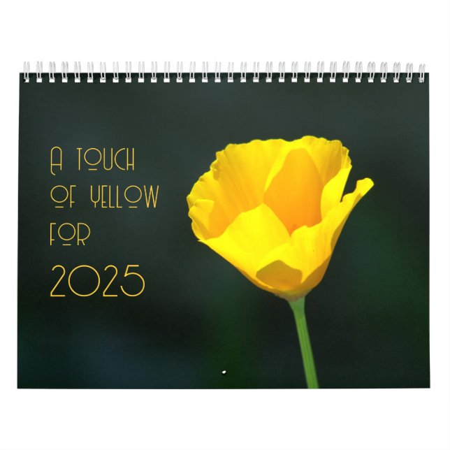 Calendário um toque de amarelo para 2025 (Capa)
