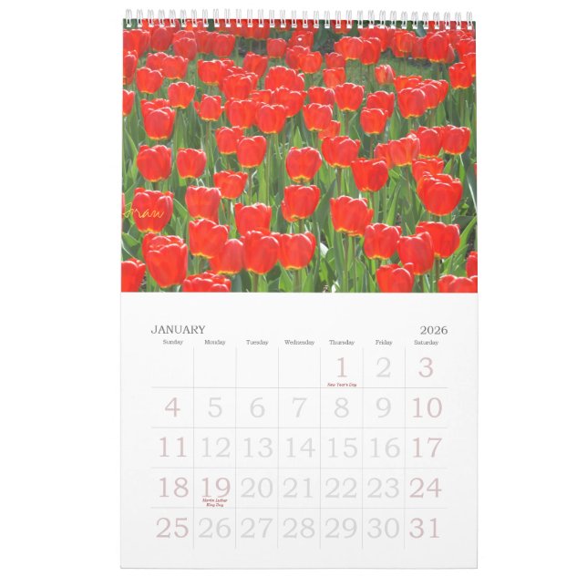Calendário um toque do vermelho para 2013 (Jan 2026)