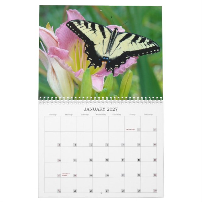 Calendário Um toque dos hemerocallis de Sun (Jan 2027)