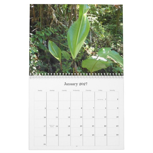 Calendário Um toque dos trópicos (Jan 2027)