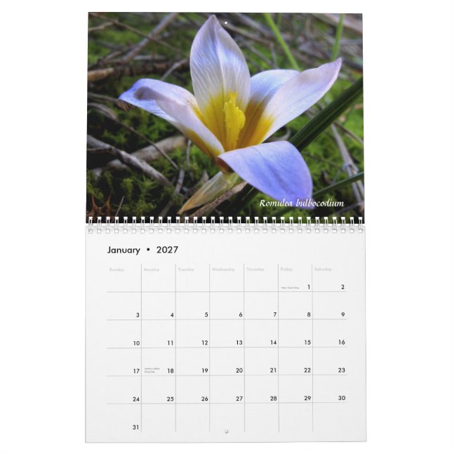 Calendário Um tributo à flora da piscina do norte (Jan 2027)