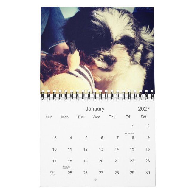 Calendário Uma dose diária da panda (Jan 2027)