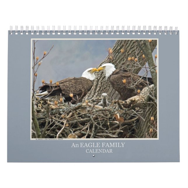 Calendário Uma Família Águia (Capa)
