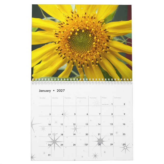 Calendário Uma flor pictórico (Jan 2027)