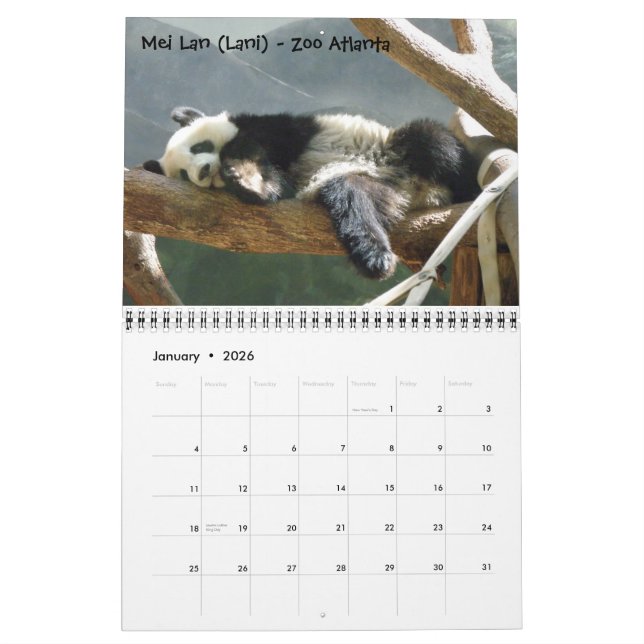 Calendário Uma Paixão para Pandas, Calend 2009... - Personali (Jan 2026)