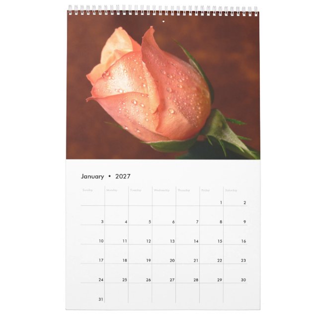 Calendário Único Rosa 2017 (Jan 2027)