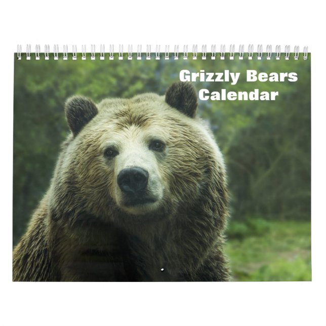 Calendário Ursos Grizzly 2025 (Capa)