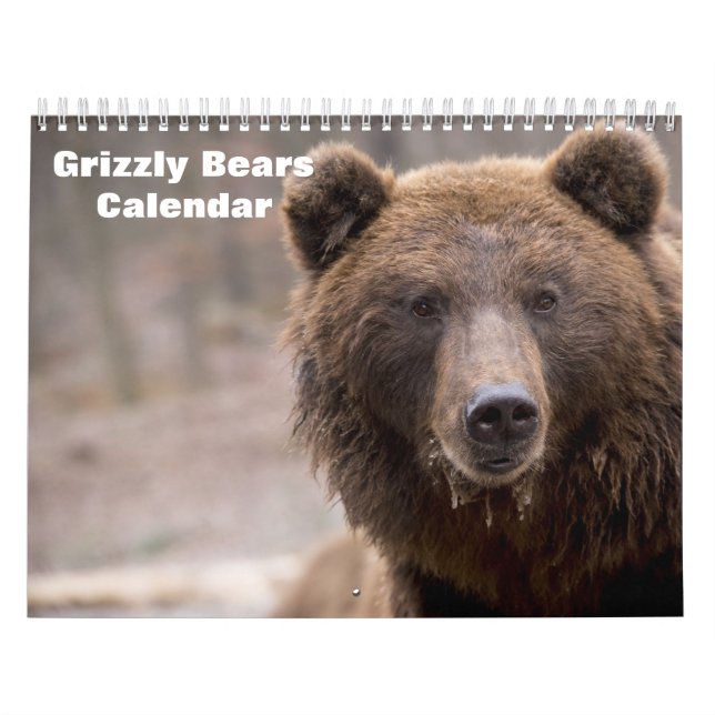 Calendário Ursos Grizzly 2025 (Capa)