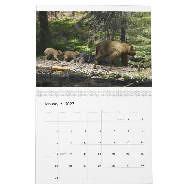 Calendário Ursos por Edward Hughes (Jan 2027)