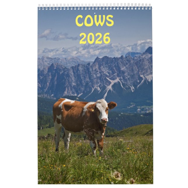 Calendário Vacas (Capa)