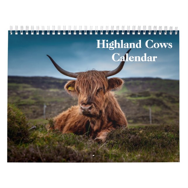 Calendário Vacas do Highland 2025 (Capa)