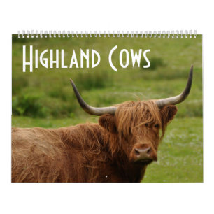 Calendário Vacas Highland - 12 Meses de Bovinos Highland -