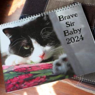 Calendário Valente Sir Baby