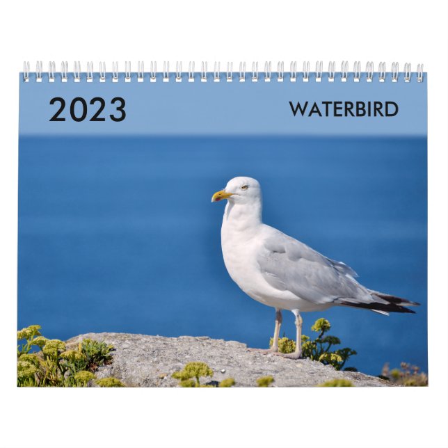 Calendário Várias aves aquáticas (Capa)