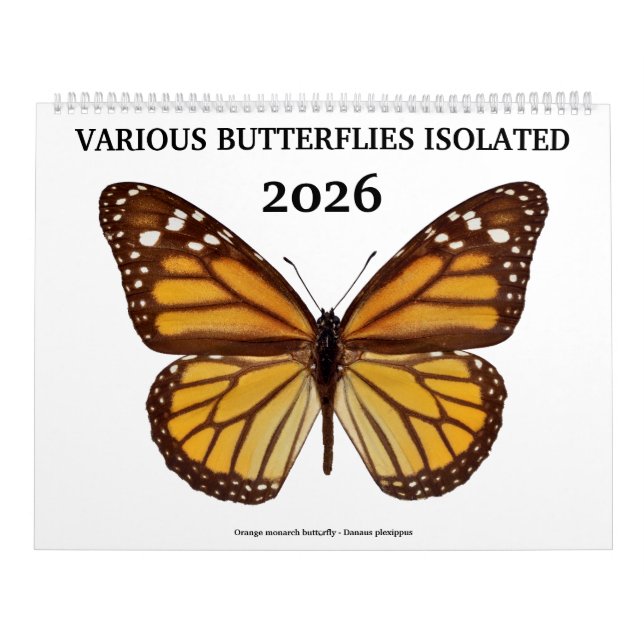 Calendário Várias borboletas 2023 (Capa)