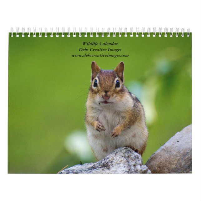 Calendário Variedade de animais selvagens 2026 (Capa)