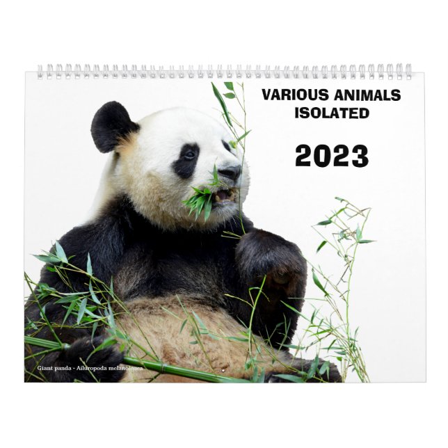 Calendário Vários animais isolados em 2023 (Capa)