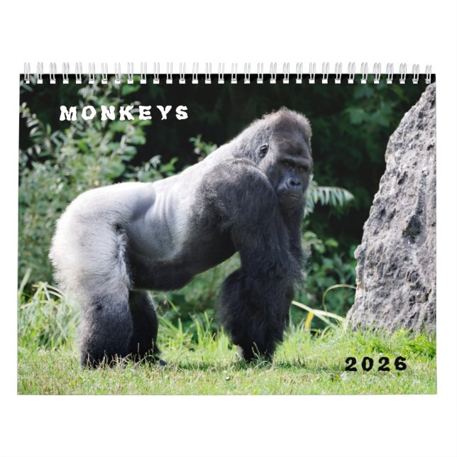 Calendário Various monkeys calendar (Capa)