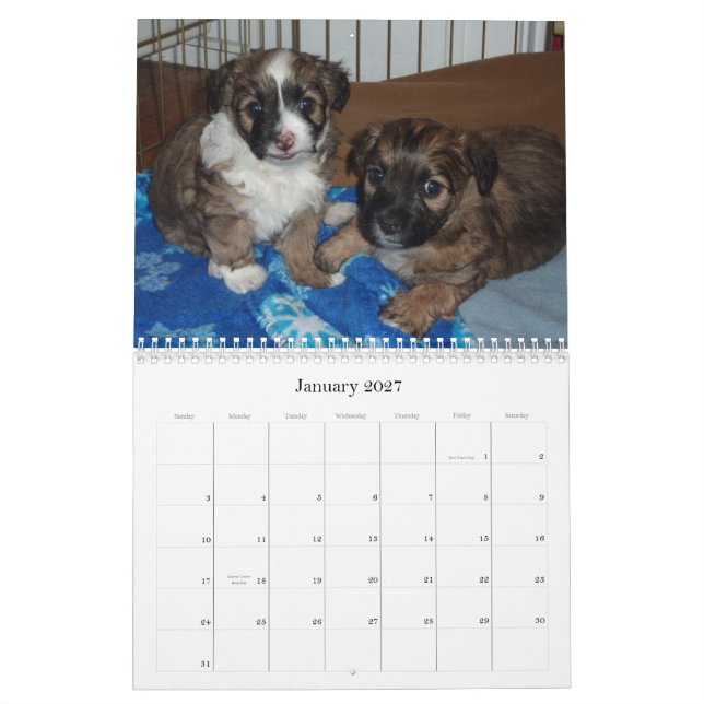 Calendário Vera e seus filhotes de cachorro (Jan 2027)