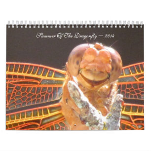 Calendário Verão do ~ 2014 da libélula