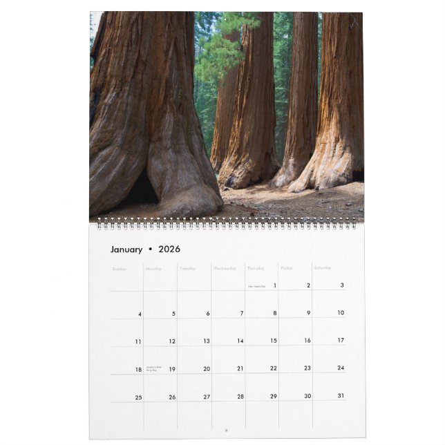 Calendário versão 2010 de JCBPhotos.net 1 (Jan 2026)