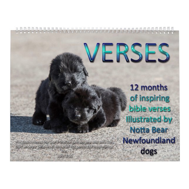 Calendário Versos de Notta Bear Newfoundlands (Capa)