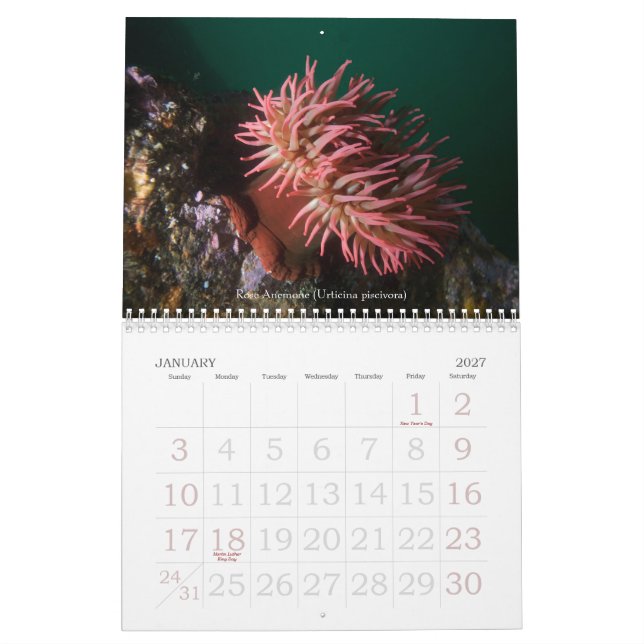 Calendário Viagens subaquáticas 2008 (Jan 2027)