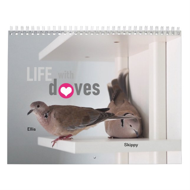 Calendário Vida com pombas:Calendário 2020 (Capa)