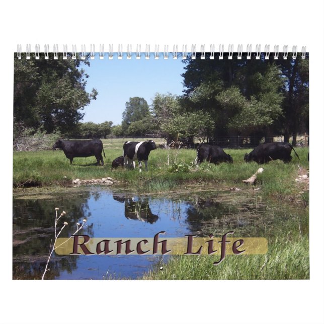 Calendário Vida Ranhura - Bovinos (Capa)