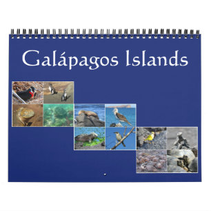 Calendário vida selvagem de galápagos 2025