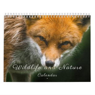 Calendário Vida selvagem e natureza
