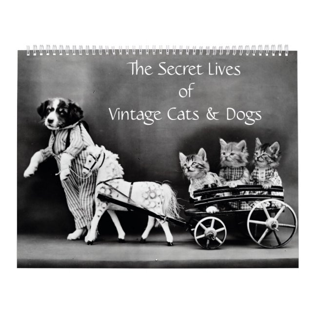 Calendário Vidas Secretas de Cães e Gatos Vintage (Capa)