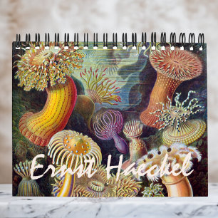 Calendário Vintage Ernst Haeckel, Biologia, Botânica, Ciência
