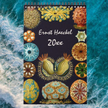 Vintage Ernst Haeckel, Biologia, Botânica, Ciência
