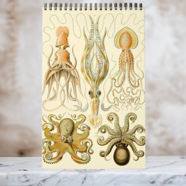 Calendário Vintage Ernst Haeckel, Biologia, Botânica, Ciência (Ernst Haeckel Wall Calendar)