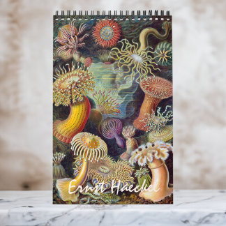 Calendário Vintage Ernst Haeckel, Biologia, Botânica, Ciência