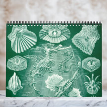 Vintage Ernst Haeckel, Biologia, Botânica, Ciência