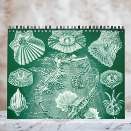 Calendário Vintage Ernst Haeckel, Biologia, Botânica, Ciência