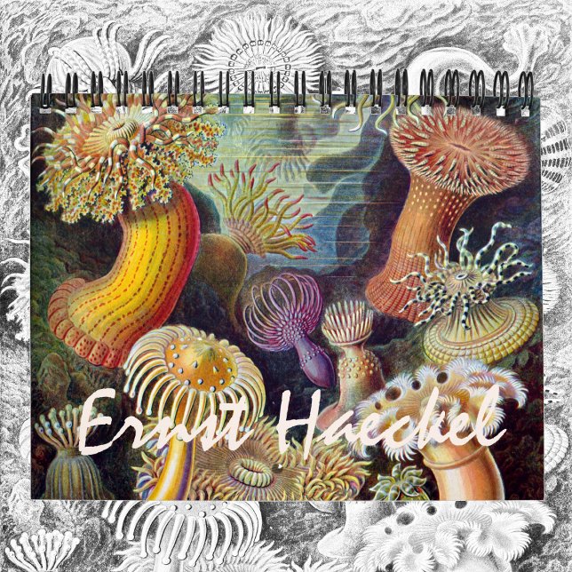 Calendário Vintage Ernst Haeckel, Biologia, Botânica, Ciência (Ernst Haeckel Calendar)