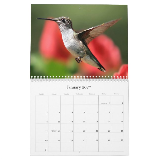 Calendário Visão do vale (Jan 2027)