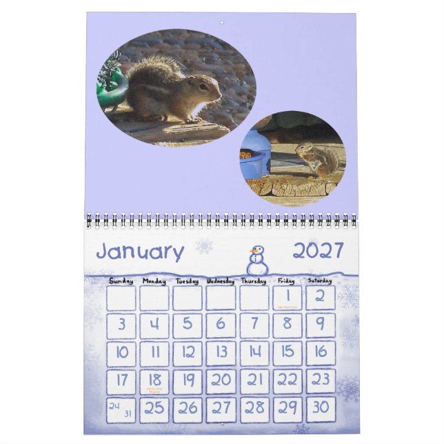 CALENDÁRIO VISITANTES DE BACKYARD (Jan 2027)