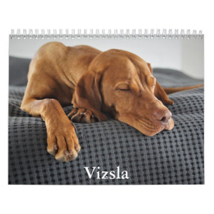Calendário Vizsla