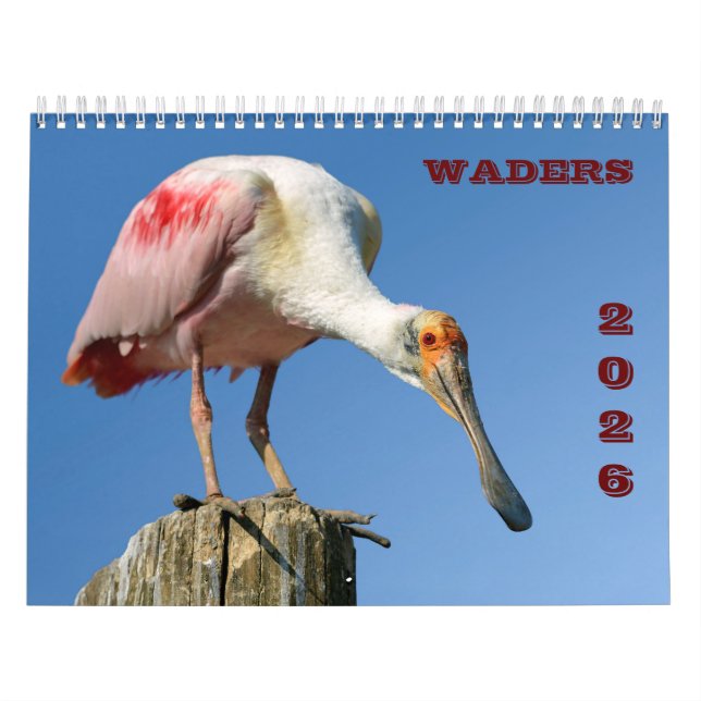 calendário waders 2025 (Capa)