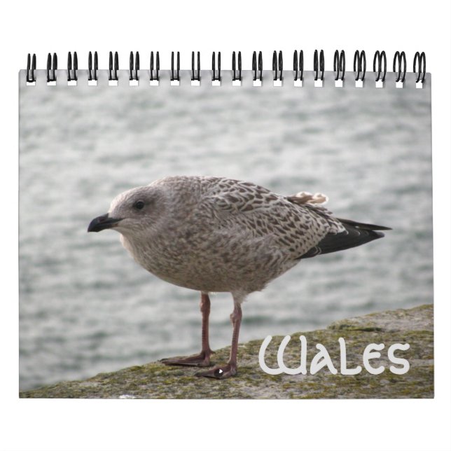 Calendário Wales 2022 Calendar (Capa)
