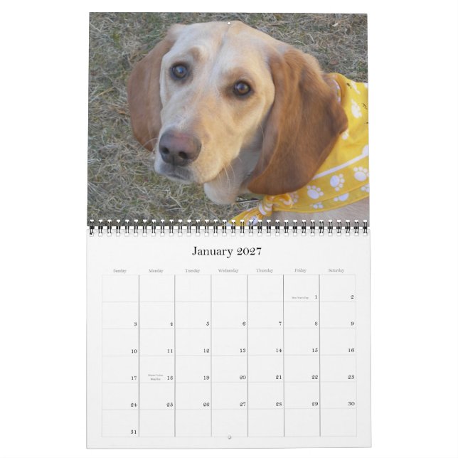 Calendário Wally o cão 2009 da maravilha (Jan 2027)