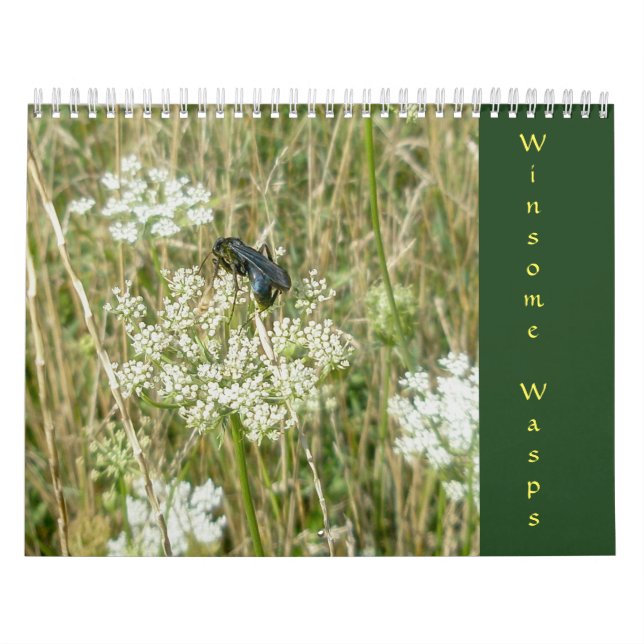 Calendário Wasps do Winsome (Capa)
