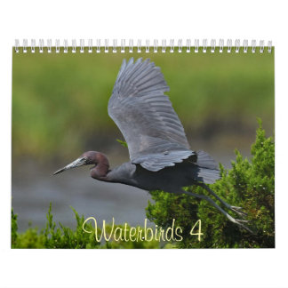 Calendário Waterbirds 4
